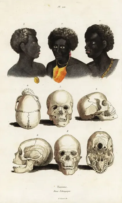 Framed Print : Heads and skulls of Ethiopian, Papuan and Australian Aborigine Framed Print : Heads and skulls of Ethiopian, Papuan and Australian Aborigine