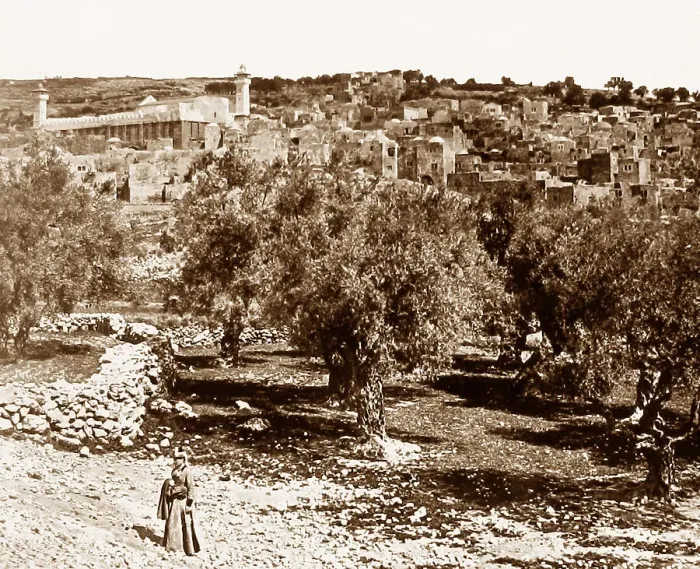 Framed Print : Hebron, Palestine Framed Print : Hebron, Palestine