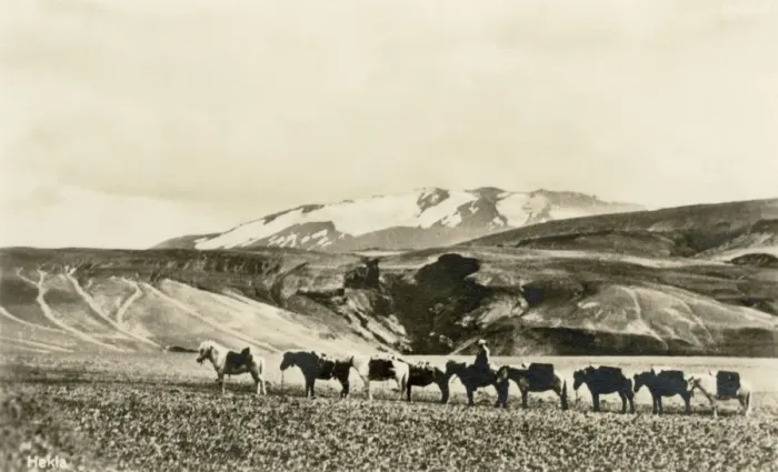 Framed Print : Hekla (volcano) and a pony train, Iceland Framed Print : Hekla (volcano) and a pony train, Iceland