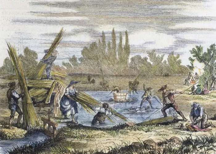 Framed Print : Hemp harvest. Banks of the Rhine. Engraving Framed Print : Hemp harvest. Banks of the Rhine. Engraving