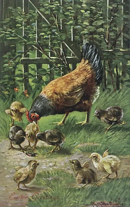 Framed Print : Hen with Chicks Framed Print : Hen with Chicks