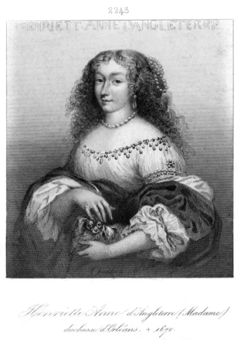 Framed Print : Henrietta D orleans - 7 Framed Print : Henrietta D orleans - 7