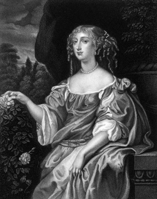 Framed Print : Henrietta Rochester Framed Print : Henrietta Rochester