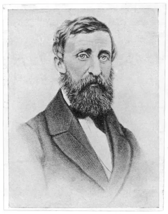 Framed Print : Henry David Thoreau Framed Print : Henry David Thoreau