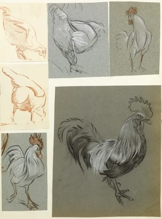 Framed Print : Hens and cockerels Framed Print : Hens and cockerels