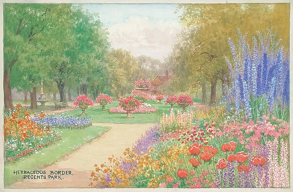 Herbaceous Border, Regents Park, London Parks
