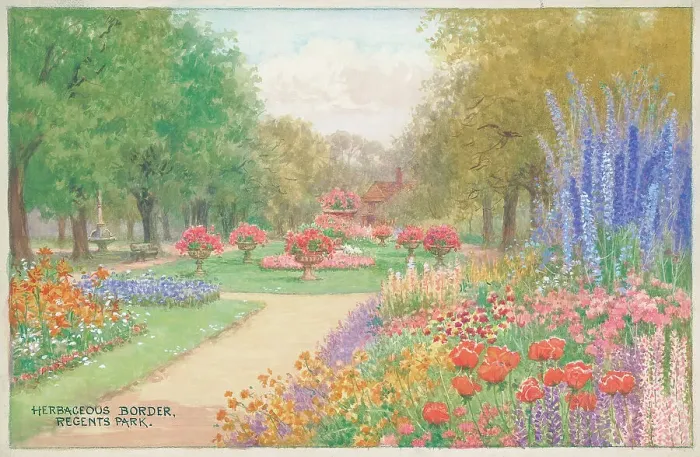 Framed Print : Herbaceous Border, Regents Park, London Parks Framed Print : Herbaceous Border, Regents Park, London Parks