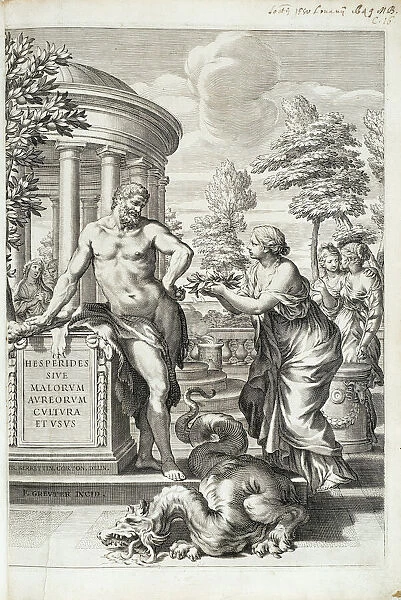 Hercules honoured by the Hesperides