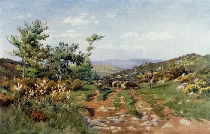 Framed Print : Herd boy and flock - Portugal Framed Print : Herd boy and flock - Portugal