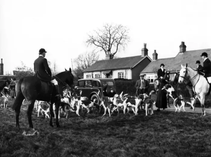 Framed Print : Herfordshire Fox Hunt Framed Print : Herfordshire Fox Hunt