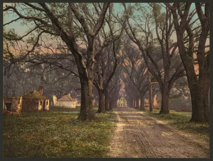 Framed Print : The Hermitage, Savannah