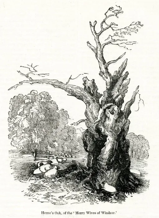 Framed Print : Hernes Oak, Windsor Great Park, Berkshire