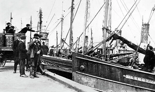 Herring boats, Blyth Northumberland early 1900's