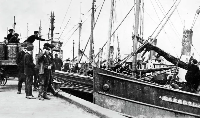 Framed Print : Herring boats, Blyth Northumberland early 1900's