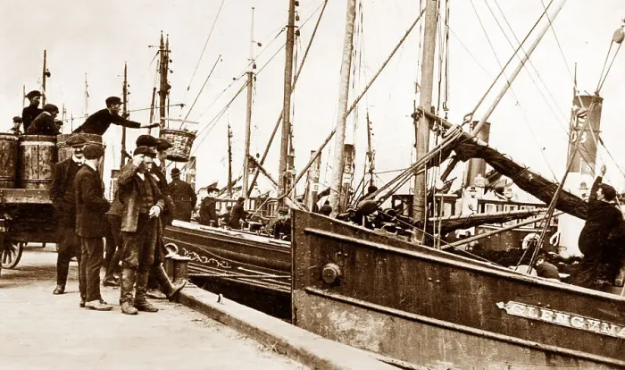 Framed Print : Herring boats, Blyth Northumberland early 1900's