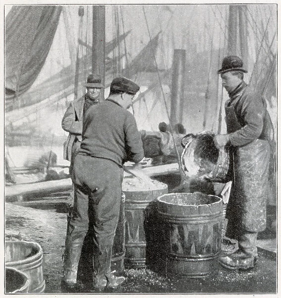 Herring Fishery on the East Coast 1902