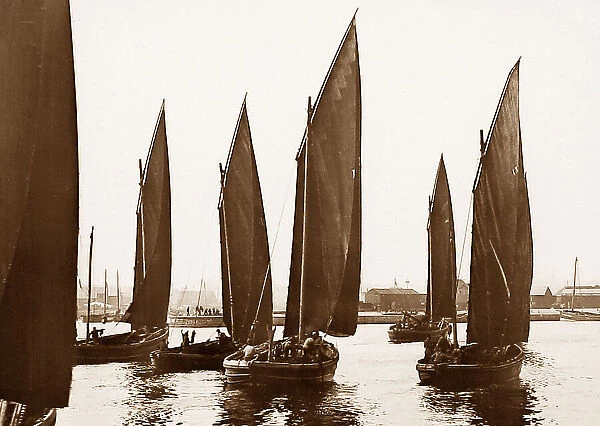 Herring fishing boats, Aberdeen