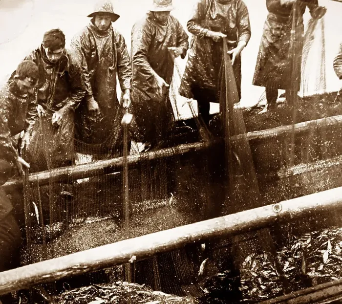 Framed Print : Herring fishing, Great Yarmouth Framed Print : Herring fishing, Great Yarmouth