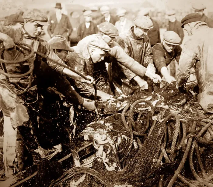Framed Print : Herring fishing, Great Yarmouth Framed Print : Herring fishing, Great Yarmouth