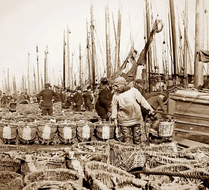 Framed Print : Herring fishing, Great Yarmouth Framed Print : Herring fishing, Great Yarmouth