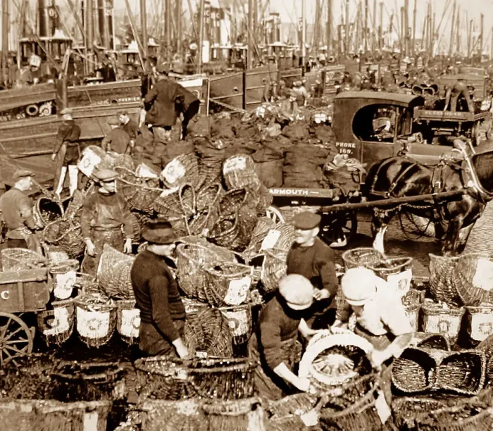 Framed Print : Herring fishing, Great Yarmouth Framed Print : Herring fishing, Great Yarmouth