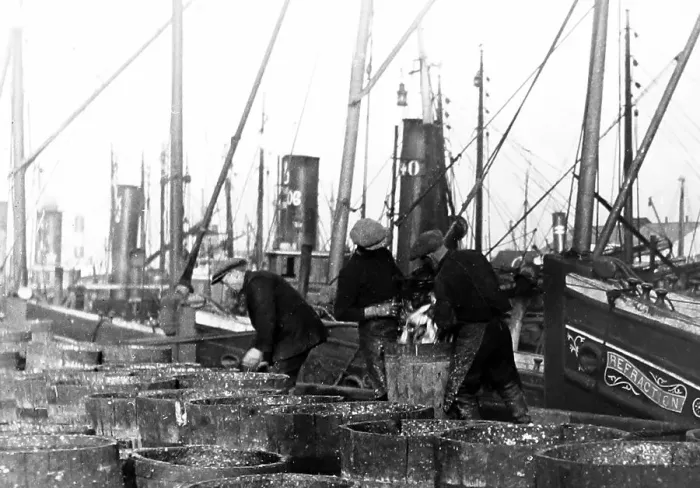 Framed Print : Herring fishing, Great Yarmouth Framed Print : Herring fishing, Great Yarmouth