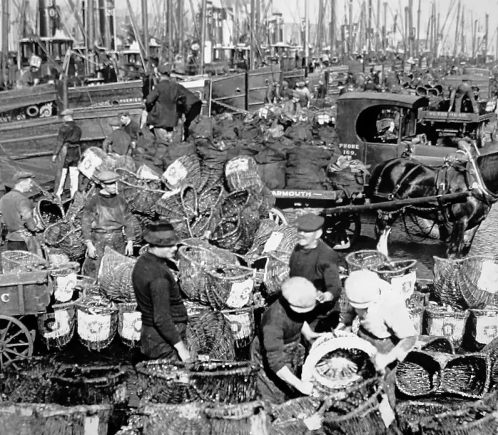 Framed Print : Herring fishing, Great Yarmouth, early 1900s Framed Print : Herring fishing, Great Yarmouth, early 1900s