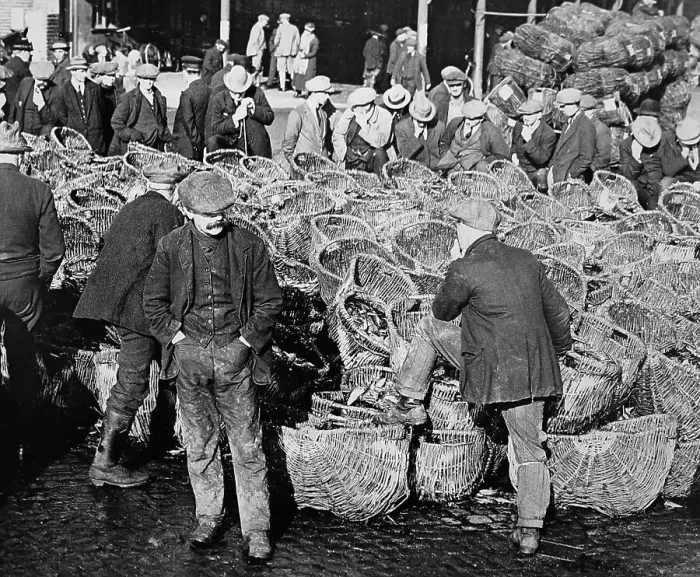 Framed Print : Herring fishing, Great Yarmouth, early 1900s Framed Print : Herring fishing, Great Yarmouth, early 1900s