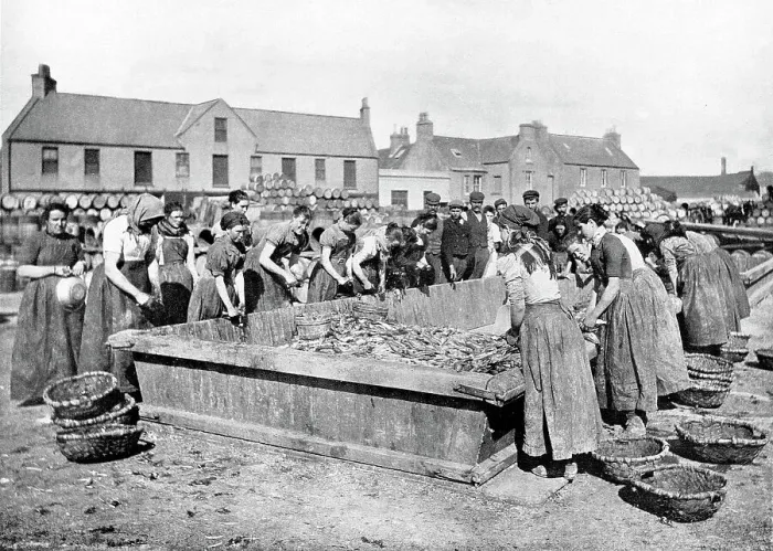 Framed Print : Herring gutters Stornoway Isle of Lewis Victorian period Framed Print : Herring gutters Stornoway Isle of Lewis Victorian period