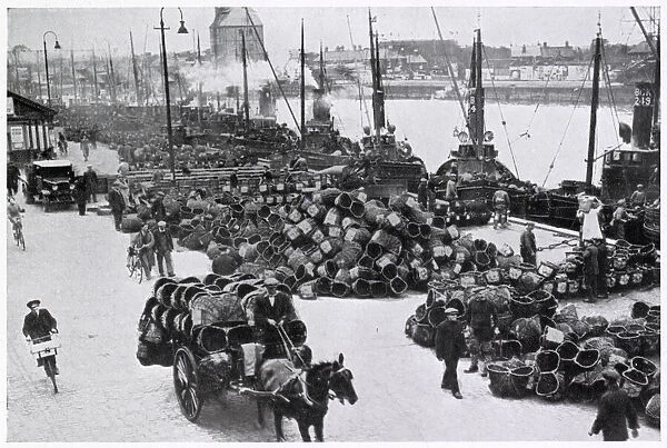 Herring Harvest in Great Yarmouth 1934