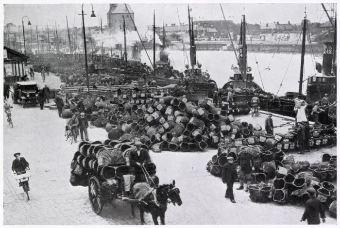 Framed Print : Herring Harvest in Great Yarmouth 1934 Framed Print : Herring Harvest in Great Yarmouth 1934