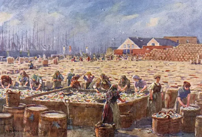Framed Print : Herring Harvest, Yarmouth Framed Print : Herring Harvest, Yarmouth
