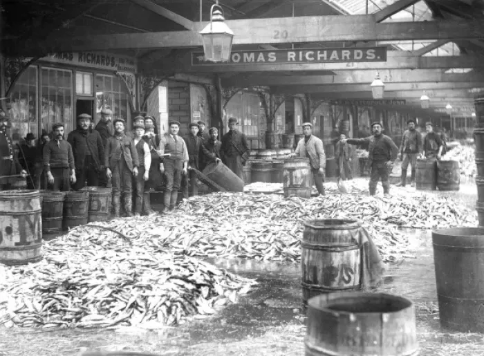 Framed Print : Herring market in Lowestoft, 1898 Framed Print : Herring market in Lowestoft, 1898