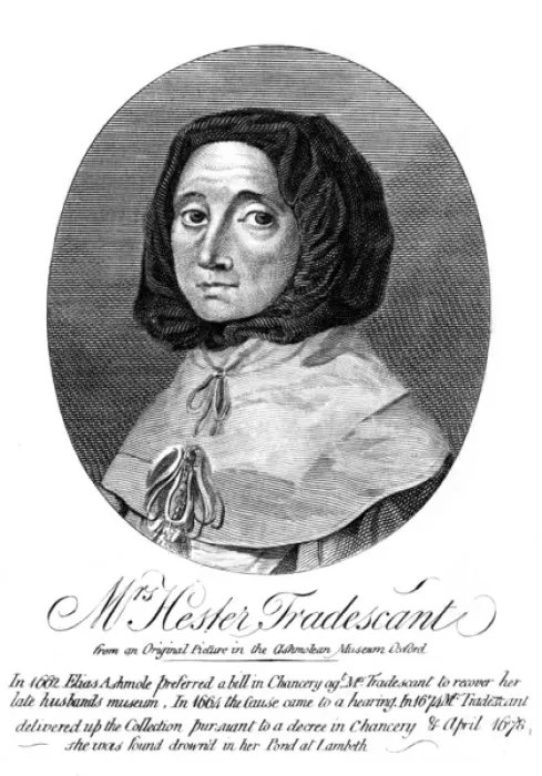 Framed Print : Hester Tradescant Framed Print : Hester Tradescant