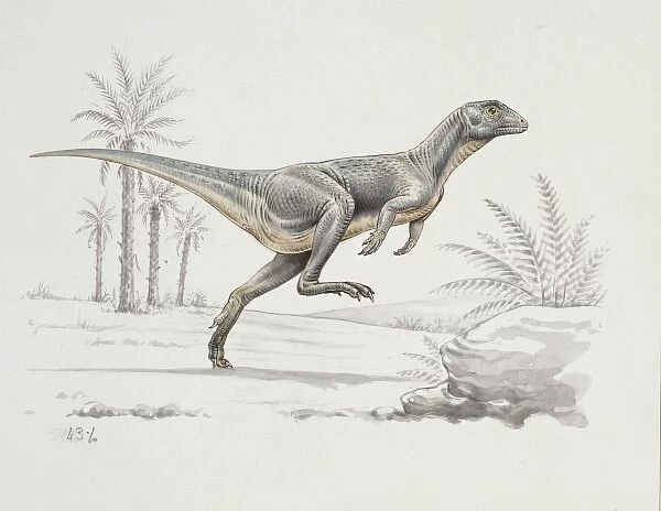Heterodontosaurus. This dinosaur whose name means different-toothed lizard