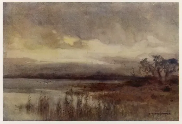 Framed Print : Hickling Broad Framed Print : Hickling Broad