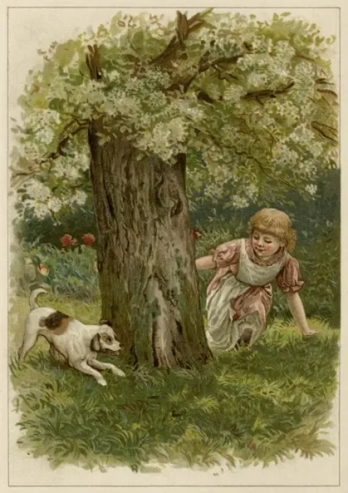 Framed Print : Hide and Seek with Dog Framed Print : Hide and Seek with Dog