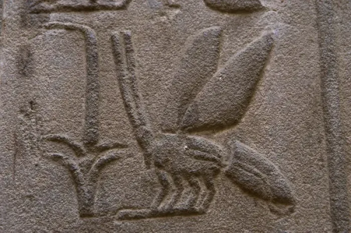 Framed Print : Hieroglyphic writing Framed Print : Hieroglyphic writing