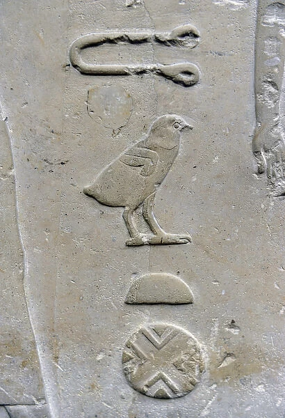 Hieroglyphic writing. Relief detail from the tomb of Princes