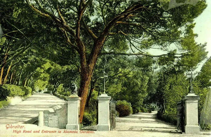Framed Print : High Road and Entrance to Alameda Gardens, Gibraltar Framed Print : High Road and Entrance to Alameda Gardens, Gibraltar