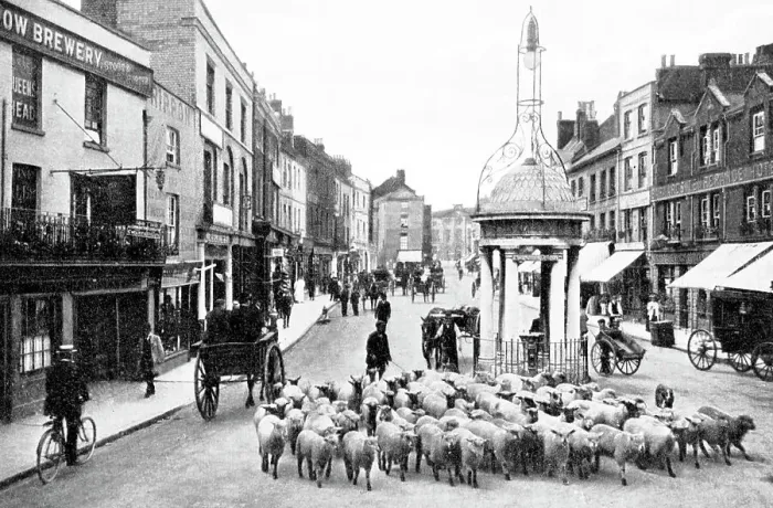 Framed Print : High Street, Chelmsford early 1900's Framed Print : High Street, Chelmsford early 1900's