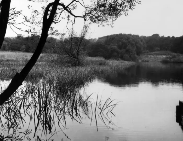 Framed Print : Highgate Pond Framed Print : Highgate Pond