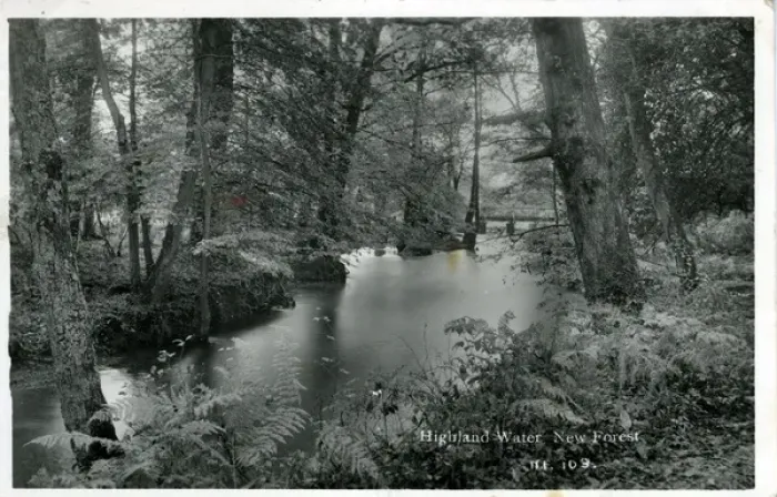 Framed Print : Highland Water, New Forest National Park, Hampshire Framed Print : Highland Water, New Forest National Park, Hampshire