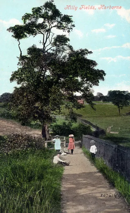 Framed Print : Hilly Fields, Harborne, south-west Birmingham Framed Print : Hilly Fields, Harborne, south-west Birmingham