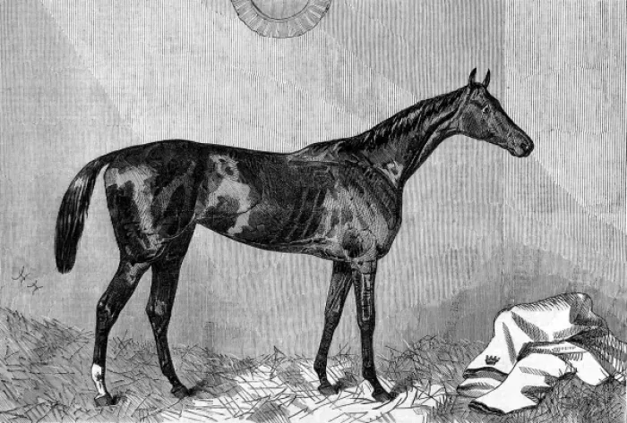 Framed Print : Hippia, winner of the 1867 Oaks Framed Print : Hippia, winner of the 1867 Oaks