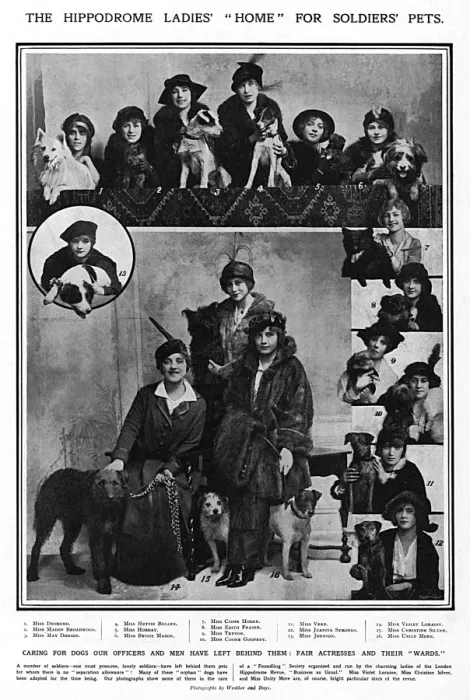 Framed Print : Hippodrome ladies home for soldiers pets, WW1 Framed Print : Hippodrome ladies home for soldiers pets, WW1