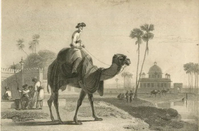 Framed Print : The Hirkarrah Camel by William Daniell Framed Print : The Hirkarrah Camel by William Daniell