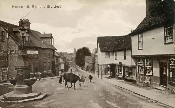 Framed Print : Hockerhill, Bishops Stortford, Hertfordshire Framed Print : Hockerhill, Bishops Stortford, Hertfordshire