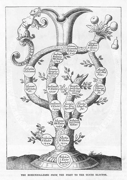 Hohenzollern Fam Tree
