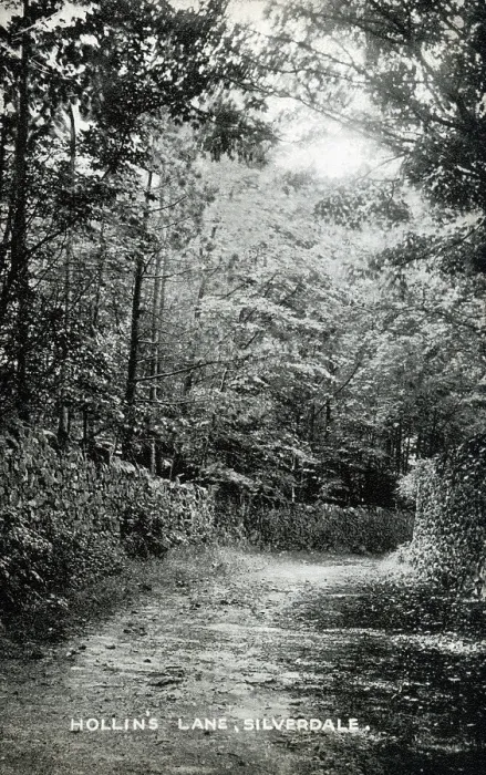 Framed Print : Hollin's Lane, Silverdale, Lancashire Date: circa 1909 Framed Print : Hollin's Lane, Silverdale, Lancashire Date: circa 1909